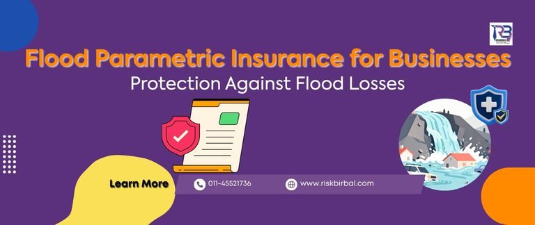 Flood Parametric Insurance for Businesses: Protection Against Flood Losses