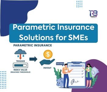 Parametric Insurance Solutions for SMEs