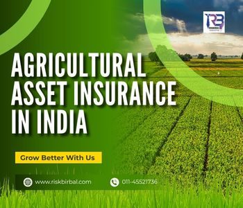 Agricultural Asset Insurance in India
