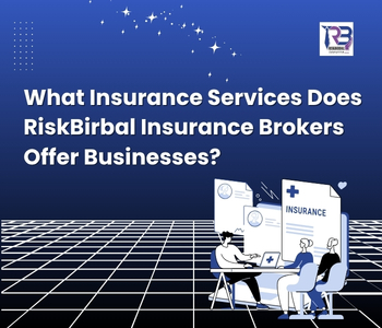 what insurance services does riskbirbal insurance brokers offer