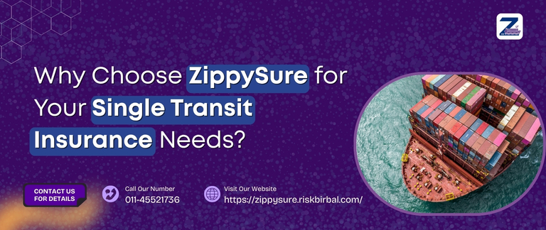 why choose zippysure for your single transit insurance needs